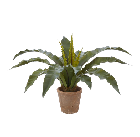 Bird's Nest Faux Fern in Clay Pot Green