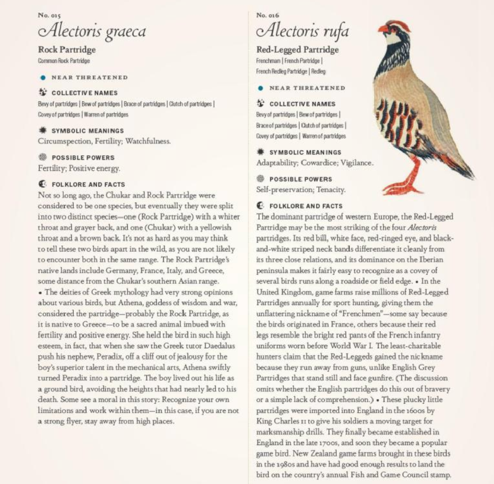 The Complete Language of Birds