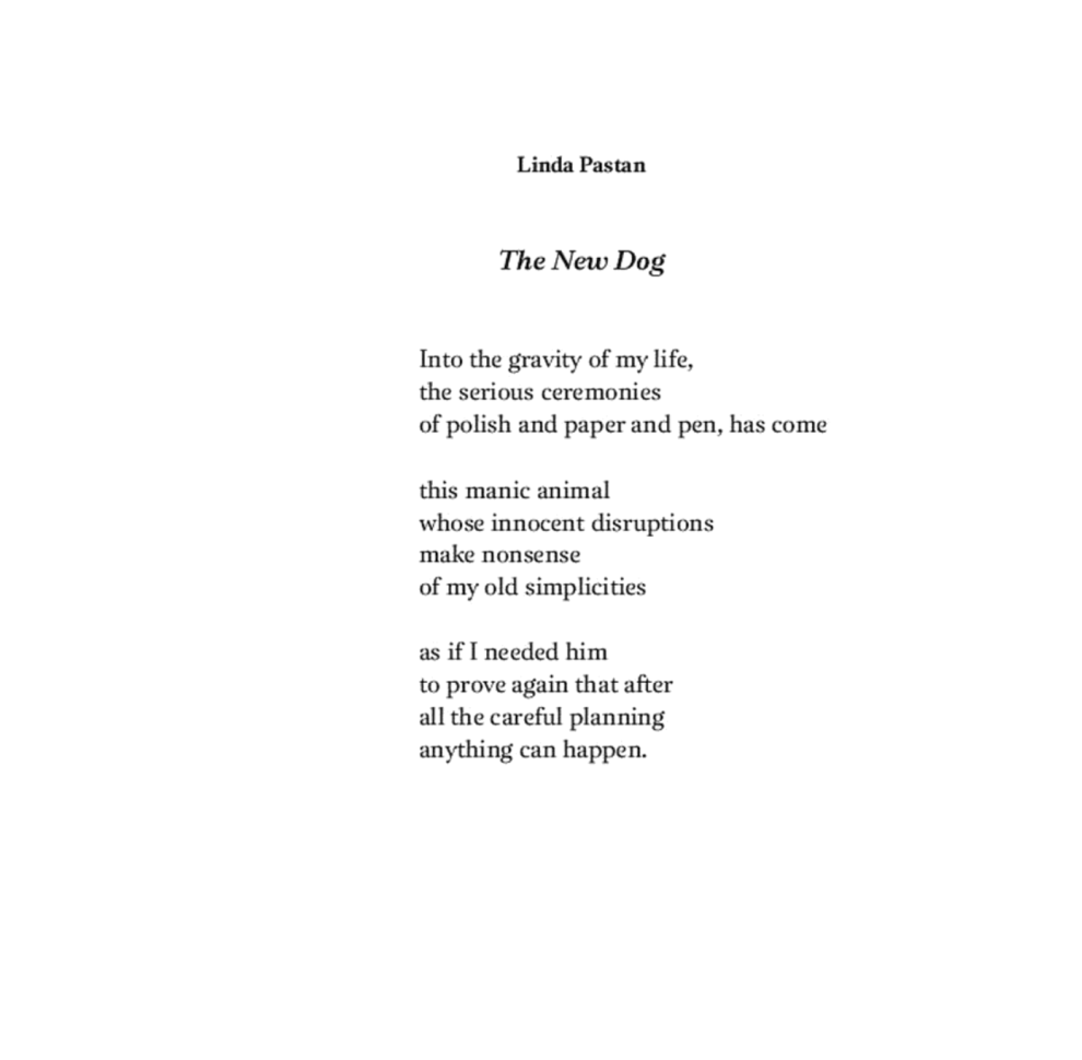 Dog Poems: An Anthology