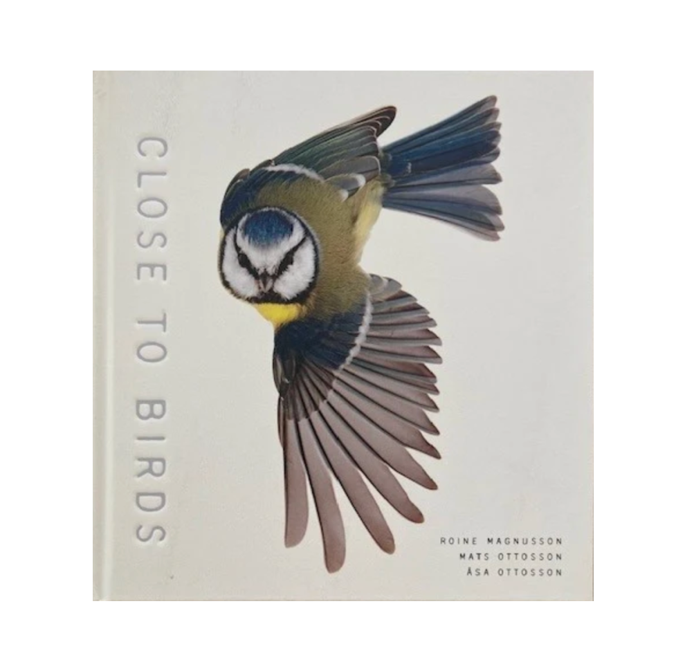 Close to Birds