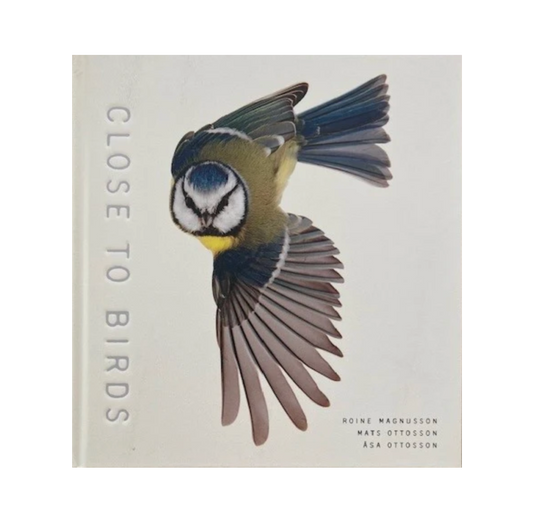 Close to Birds