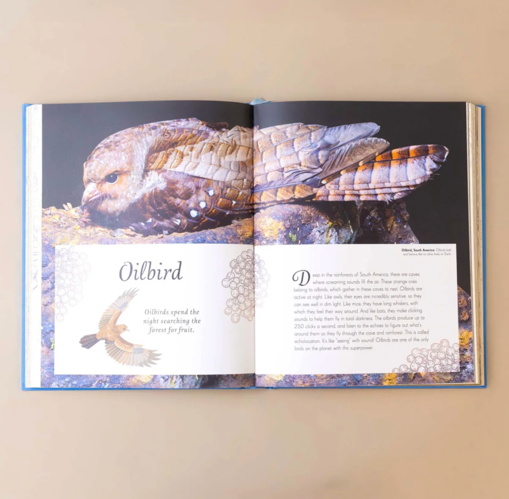 An Anthology of Exquisite Birds