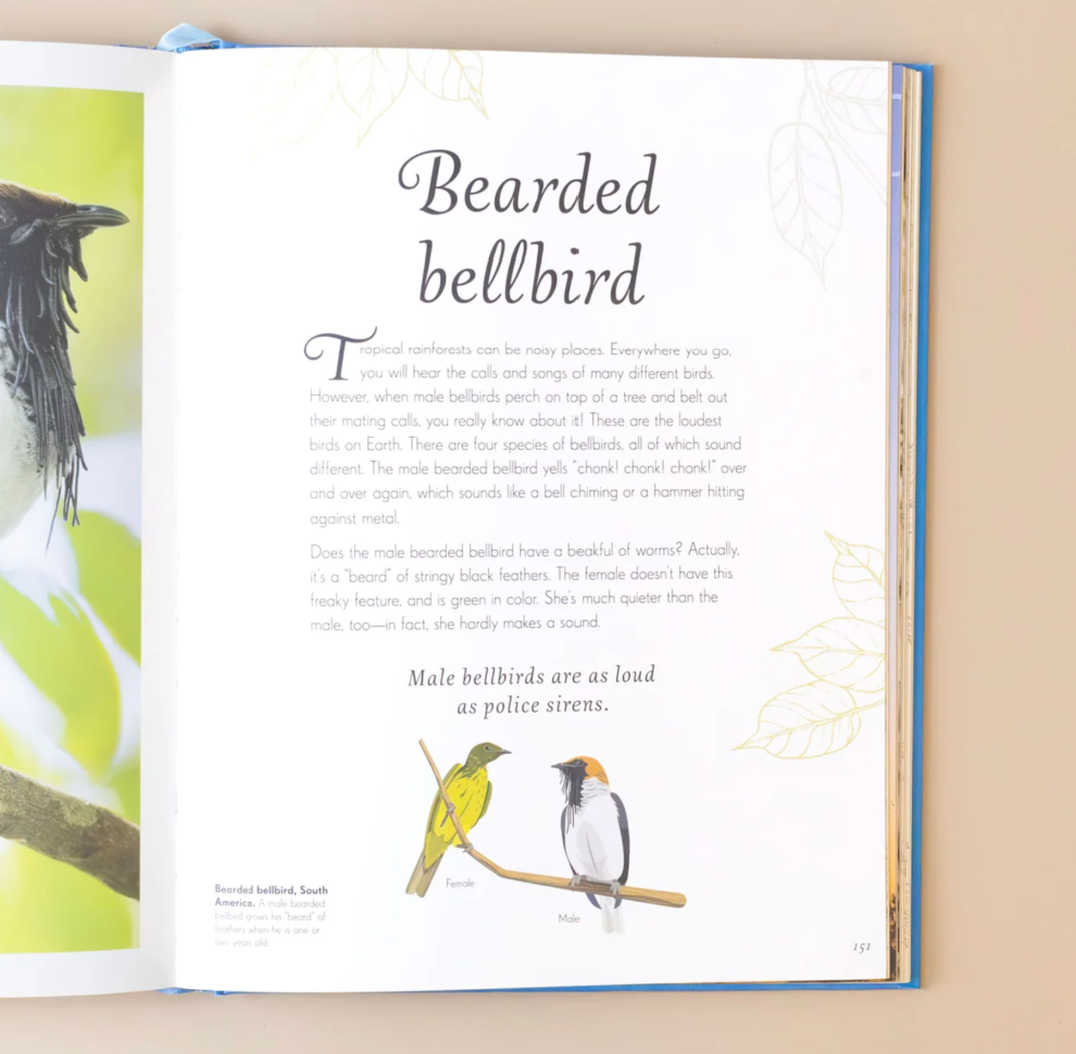 An Anthology of Exquisite Birds