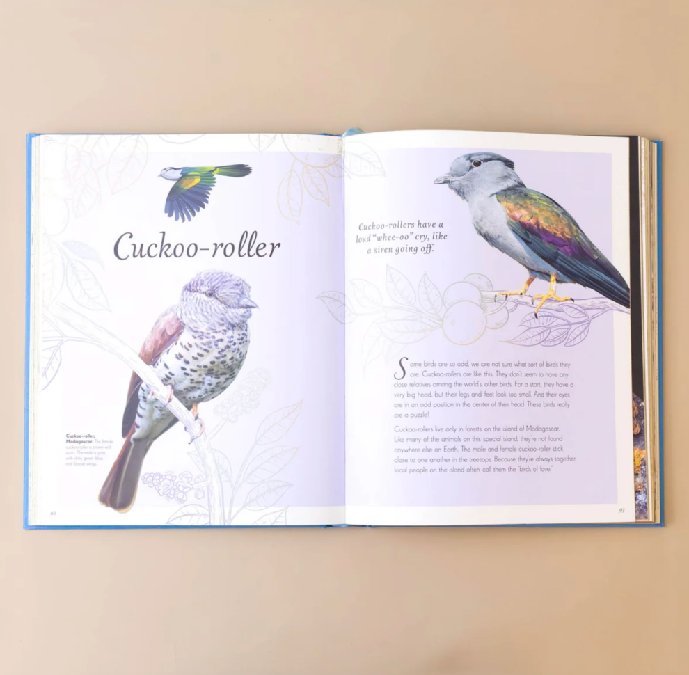 An Anthology of Exquisite Birds