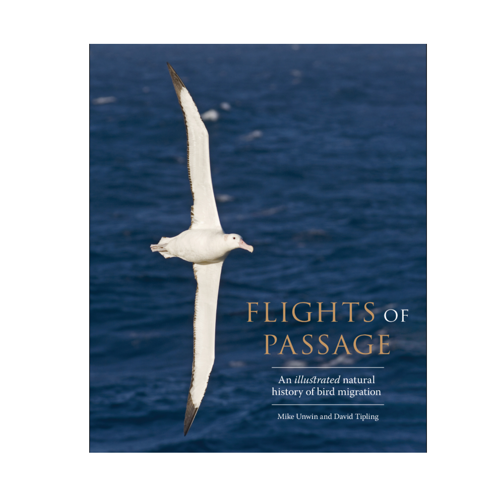 Flights of Passage: An Illustrated Natural History of Bird Migration