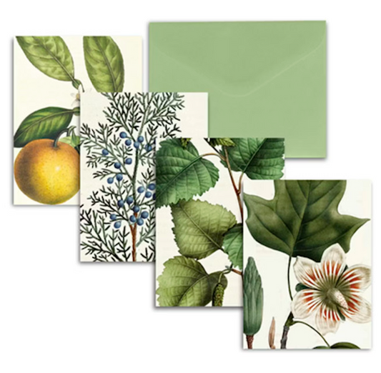 The Trees of North America Notecards
