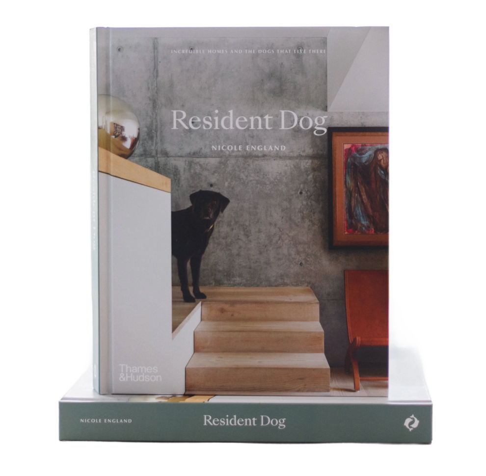 Resident Dog: Incredible Homes and the Dogs That Live There