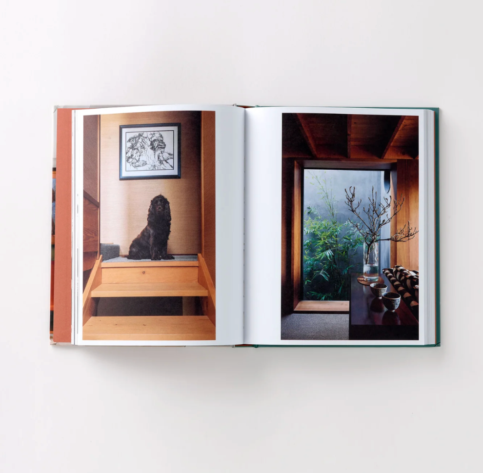 Resident Dog: Incredible Homes and the Dogs That Live There