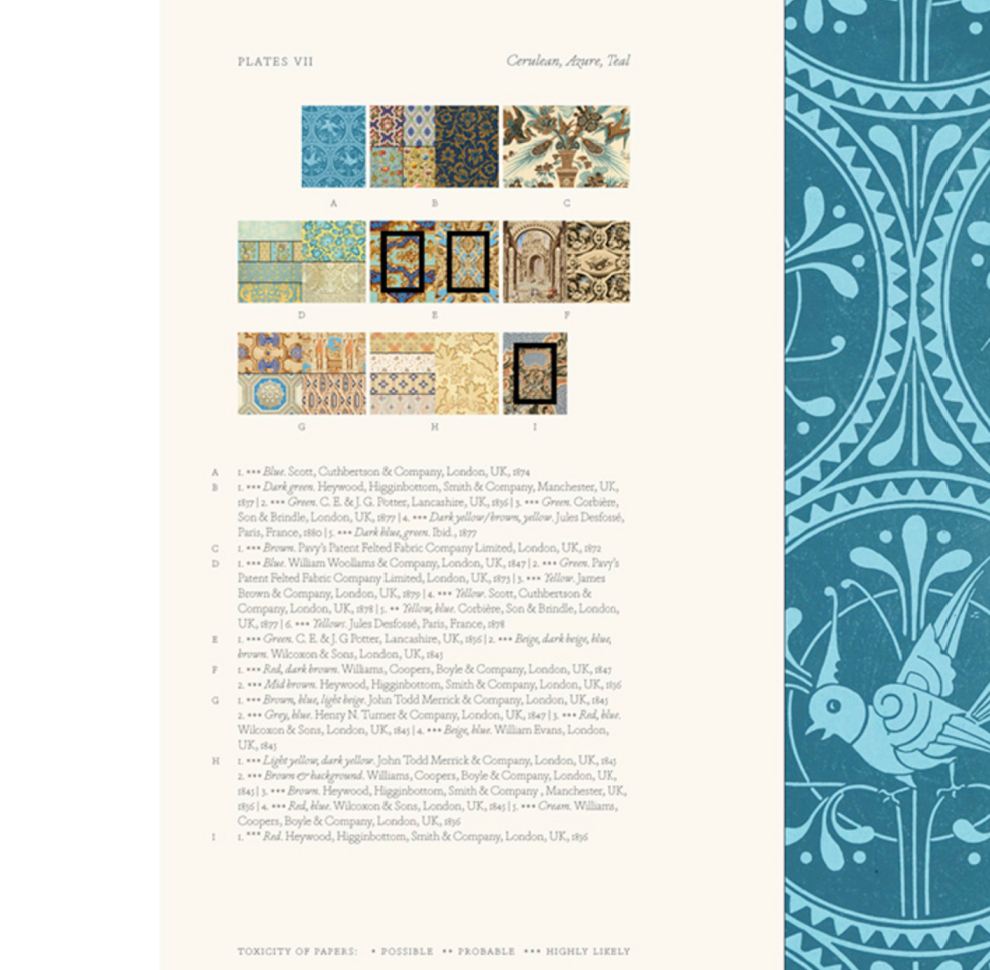 Bitten By Witch Fever