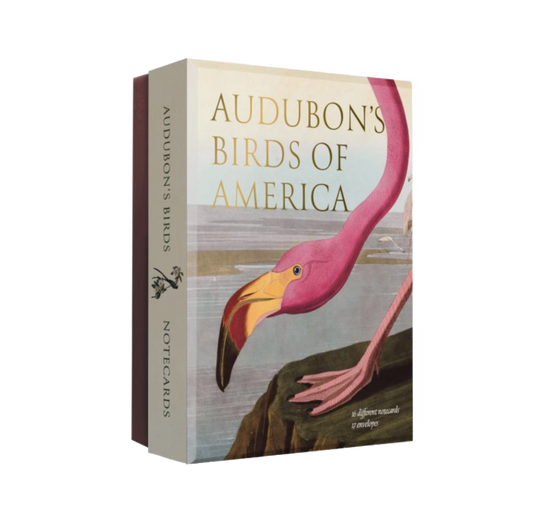 Audubon's Bird of America Notecards