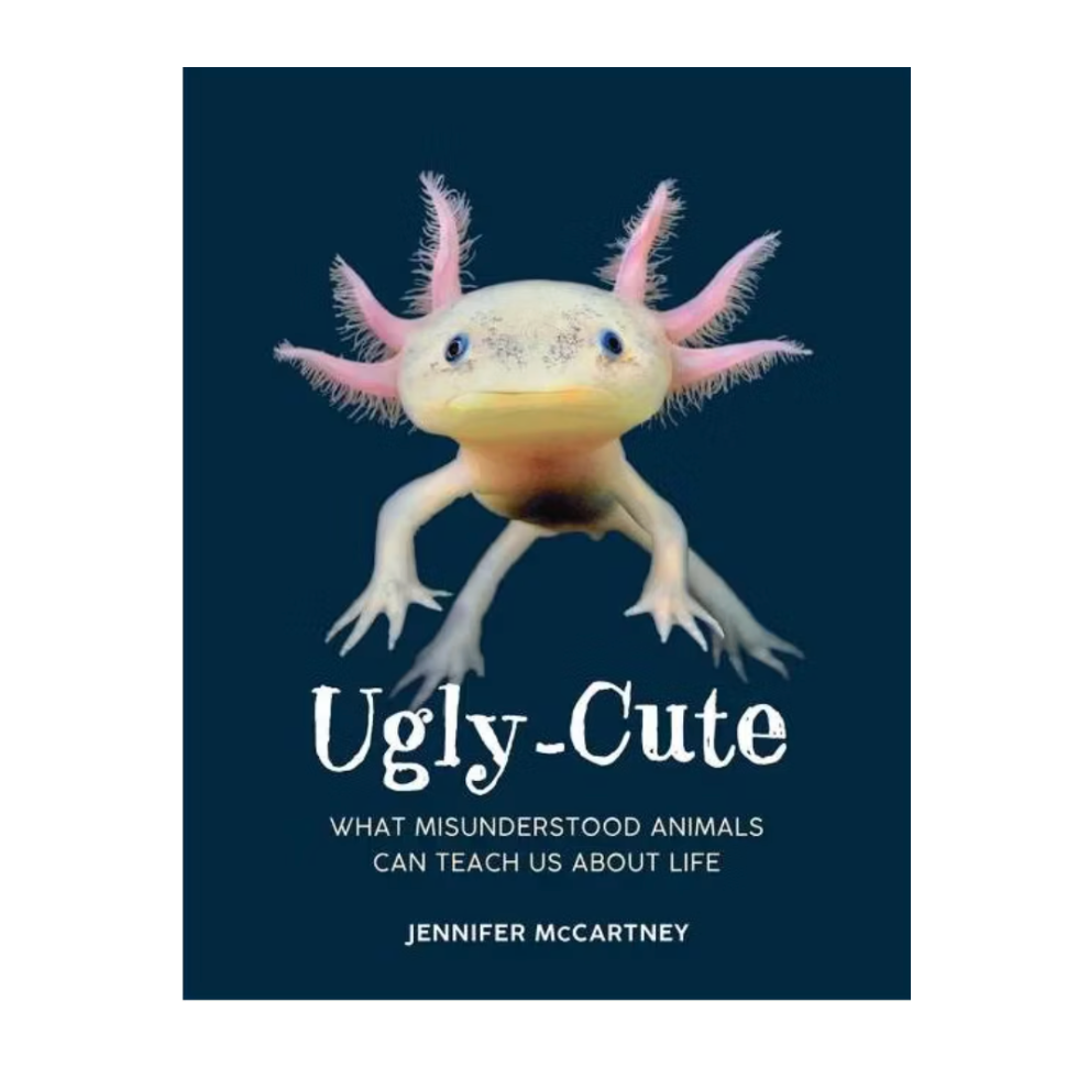 Ugly-Cute