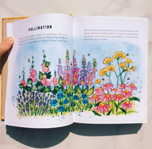 The Little Book of Bees