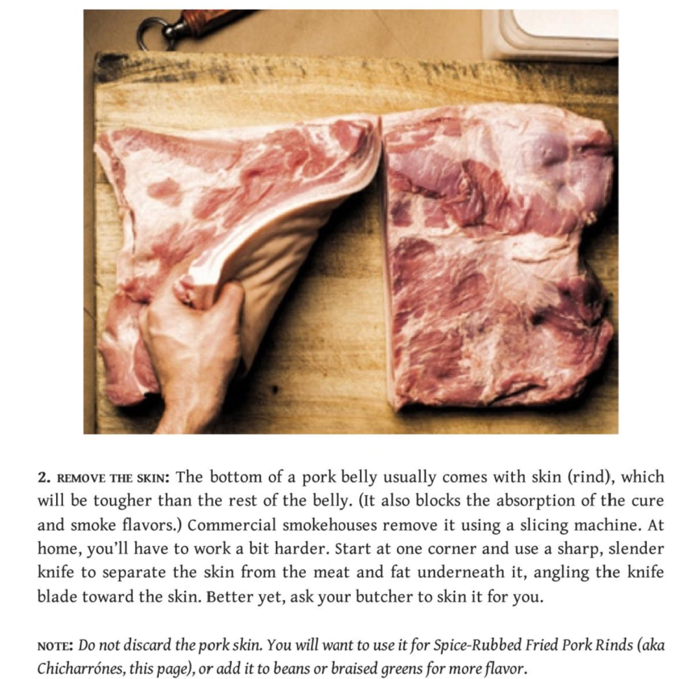 Bacon Bible
