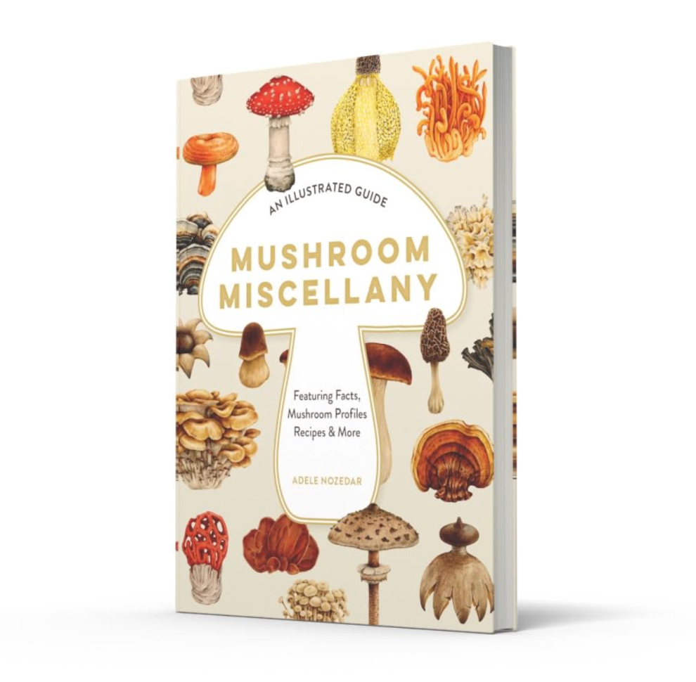 Mushroom Miscellany