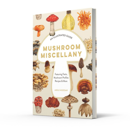 Mushroom Miscellany
