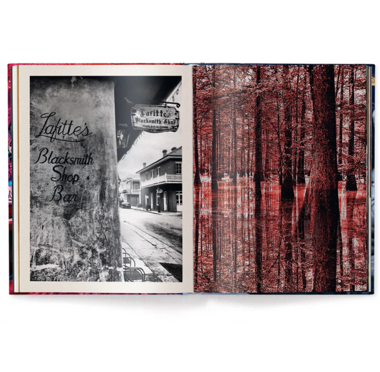 New Orleans Book