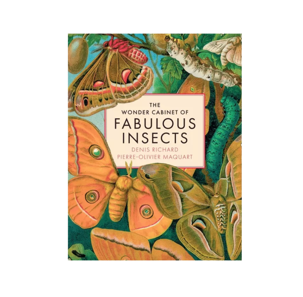 Wonder Cabinet of Fabulous Insects