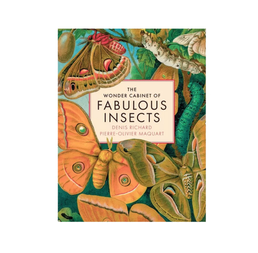 Wonder Cabinet of Fabulous Insects