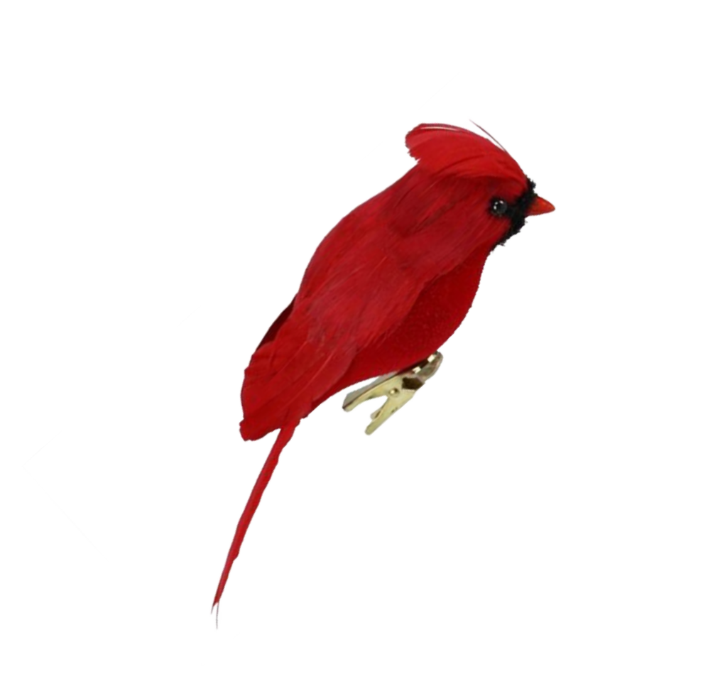 Red Feather Cardinal with Clip