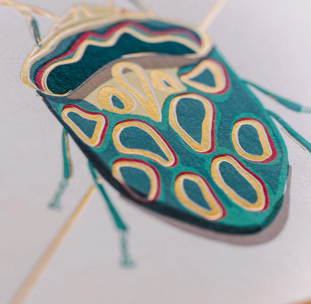 Teal Beetle Stationery Boxed Set of 6