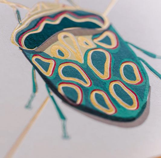 Teal Beetle Stationery Boxed Set of 6