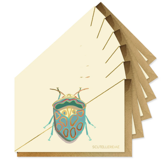 Teal Beetle Stationery Boxed Set of 6