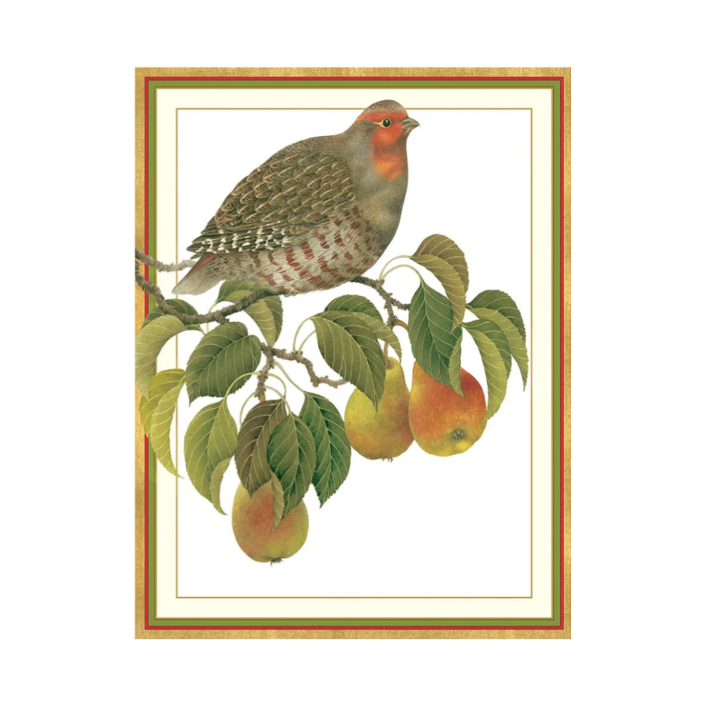 Partridge In Pear Branch Large Boxed Christmas Cards