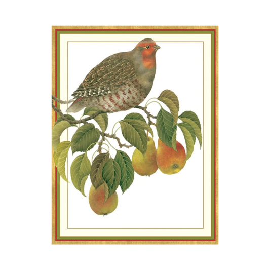 Partridge In Pear Branch Large Boxed Christmas Cards