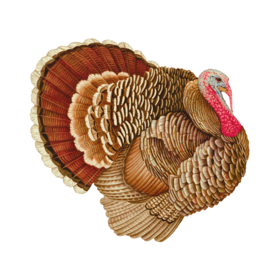 Turkey Paper Placemats 12" Die-Cut
