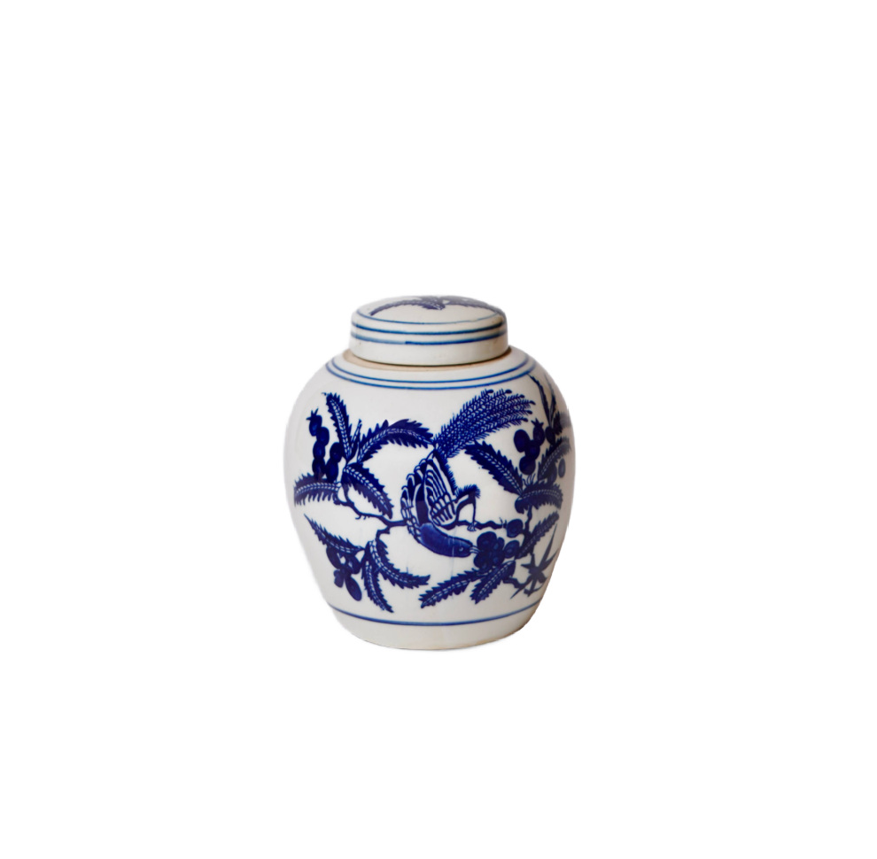Blue and White Porcelain Bird and Flower Round Jar