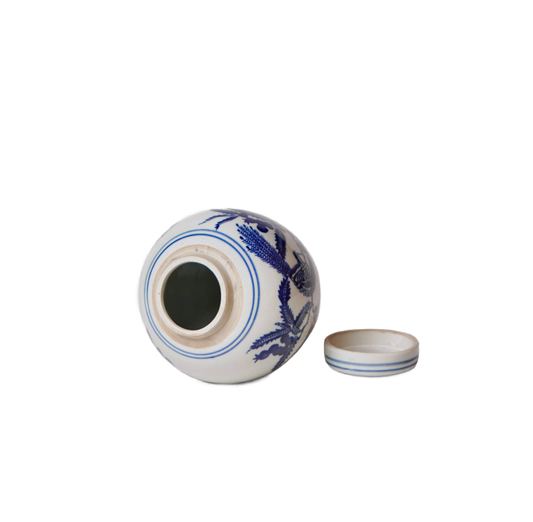 Blue and White Porcelain Bird and Flower Round Jar