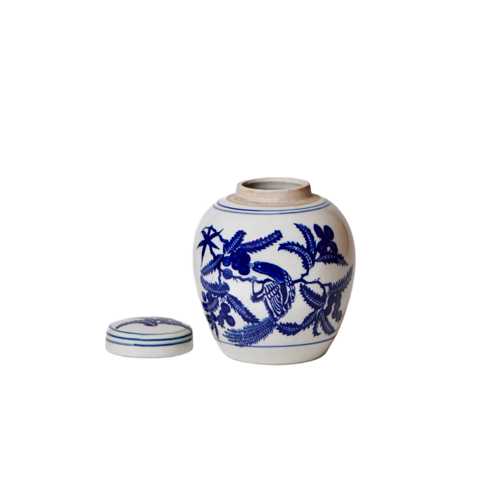 Blue and White Porcelain Bird and Flower Round Jar