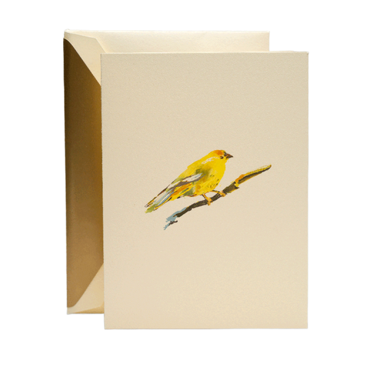 Brushstroke Canary Crane Notes