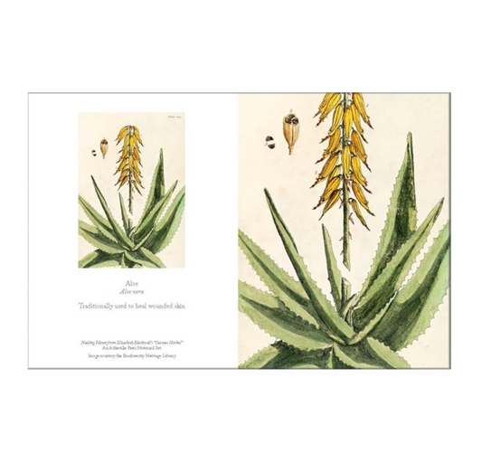 Healing Plant Notecards