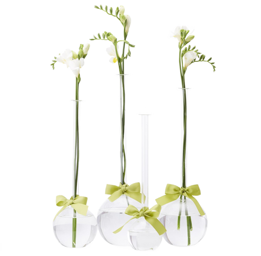 Sleek and Chic Glass Bubble Vase