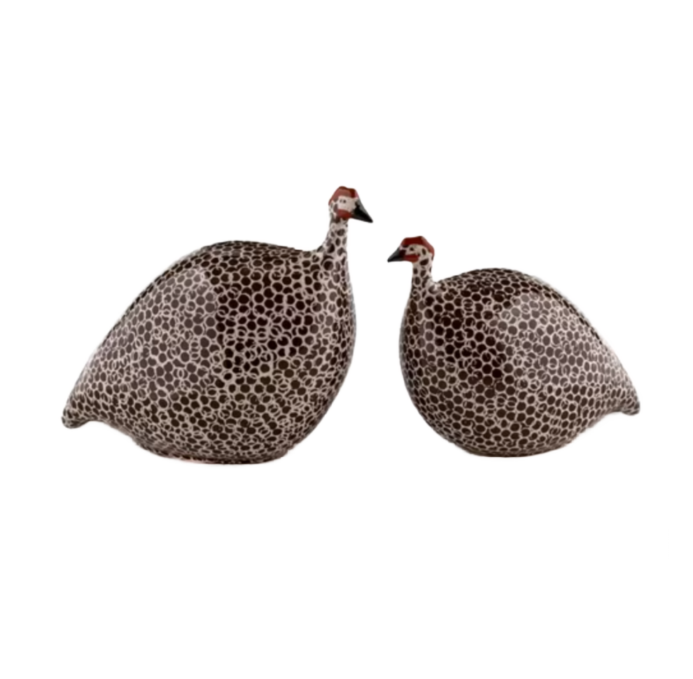 Large Brown Spotted White Guinea Fowl