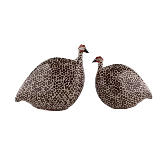 Small Brown Spotted White Guinea Fowl