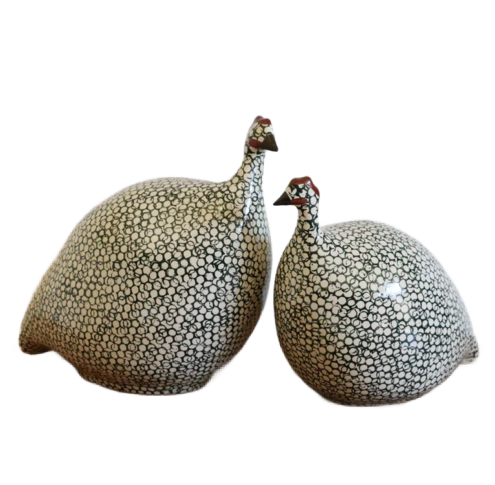 Medium White Spotted Green Guinea Fowl
