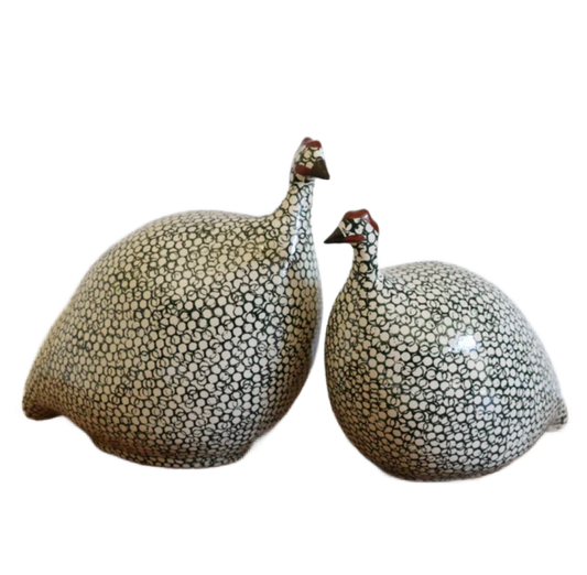 Small White Spotted Green Guinea Fowl
