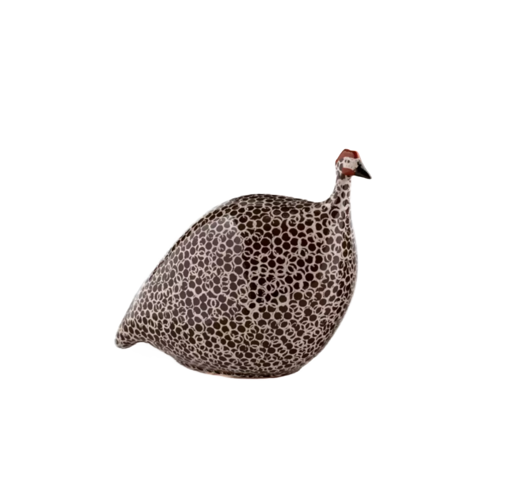 Medium Brown Spotted White Guinea Fowl