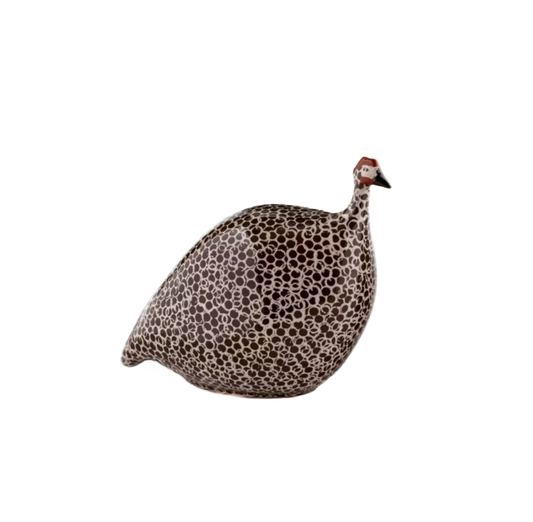 Medium Brown Spotted White Guinea Fowl