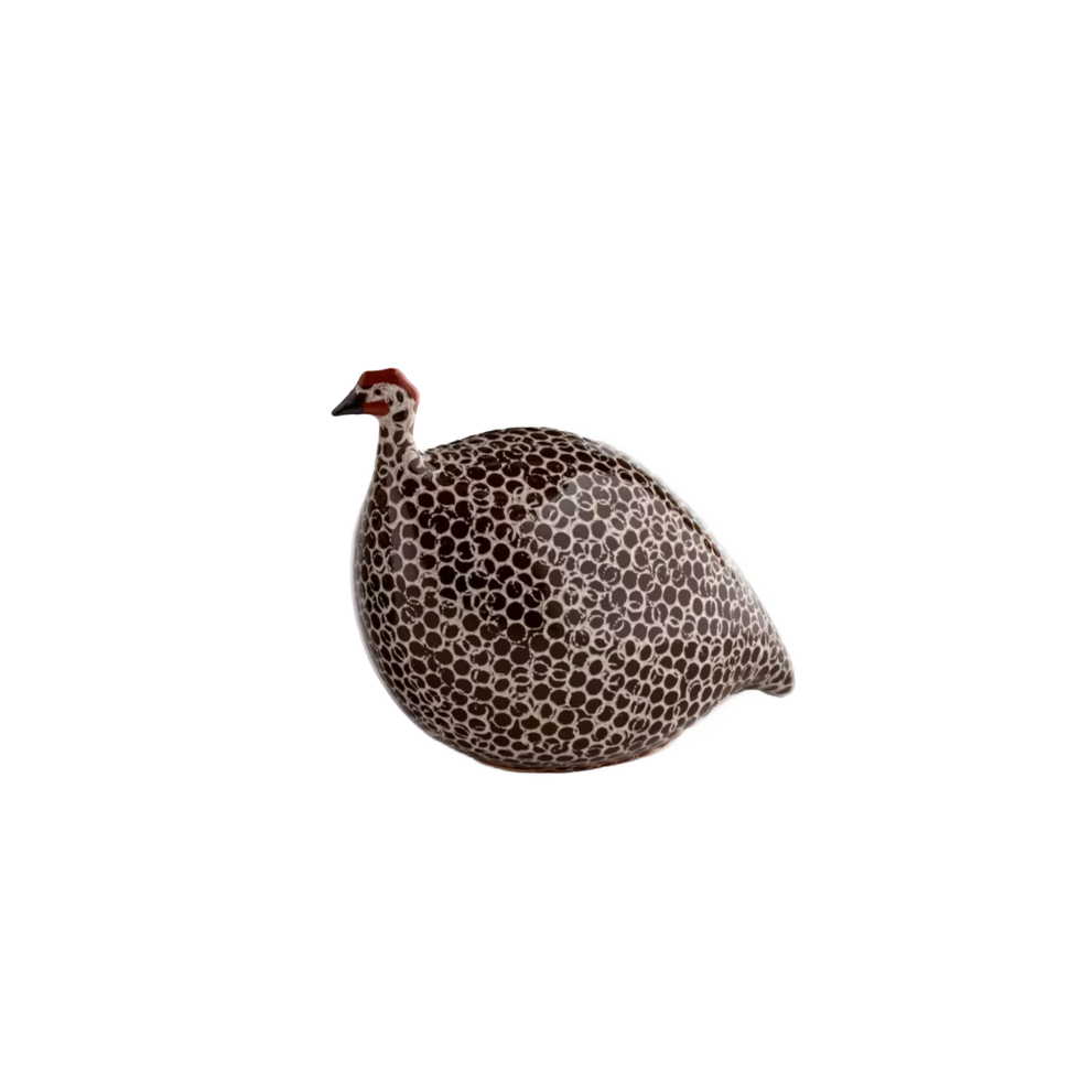 Small Brown Spotted White Guinea Fowl