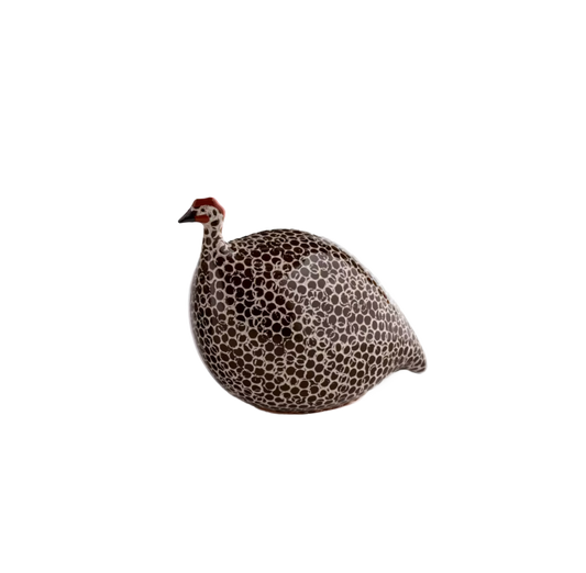 Small Brown Spotted White Guinea Fowl