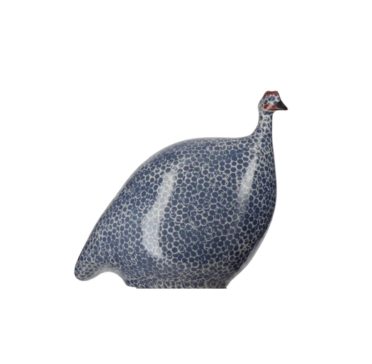 Medium Blue Spotted White Guinea Fowl