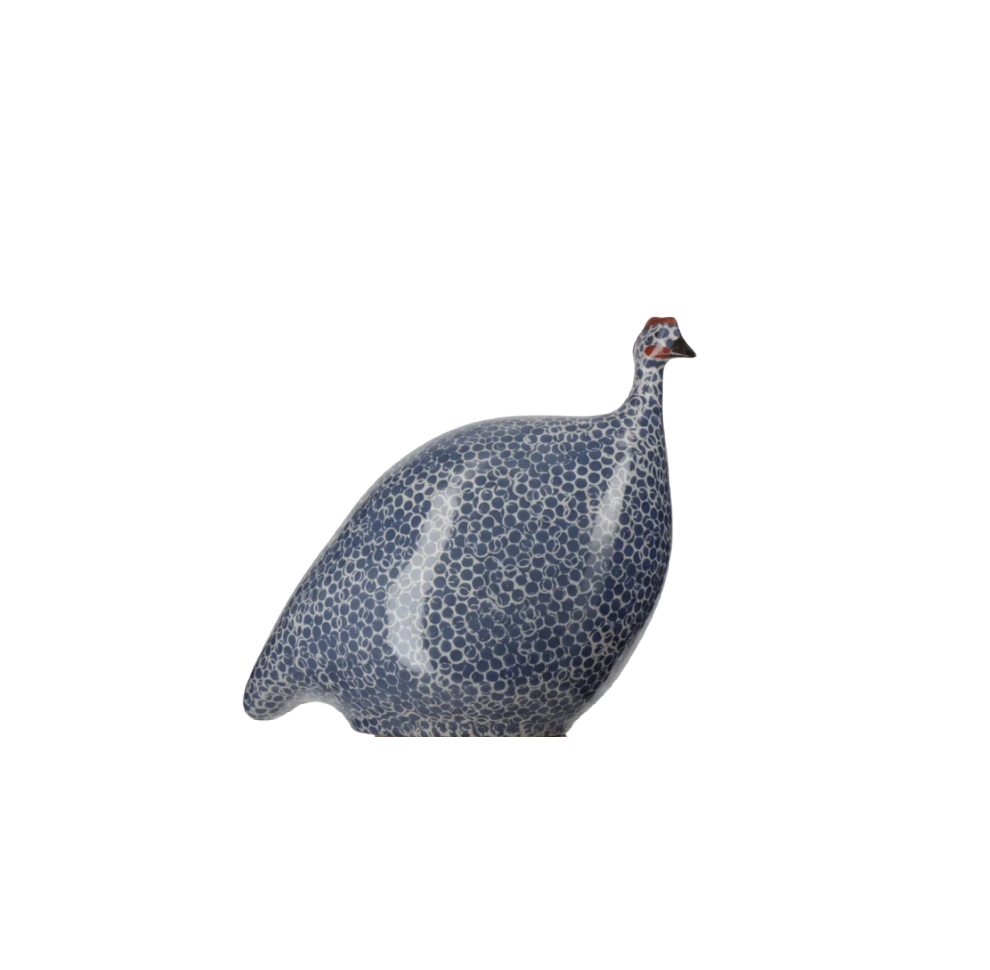 Small Blue Spotted White Guinea Fowl