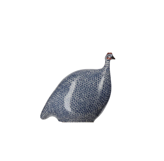 Small Blue Spotted White Guinea Fowl