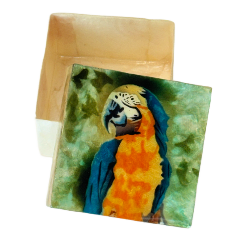 Parrot Capiz Shell Box