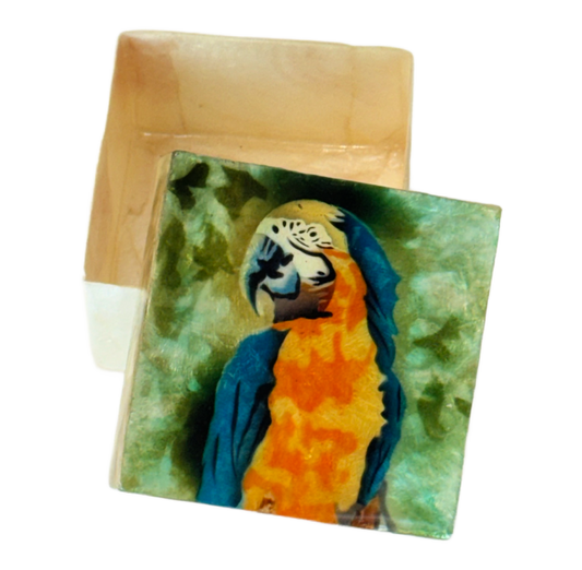 Parrot Capiz Shell Box