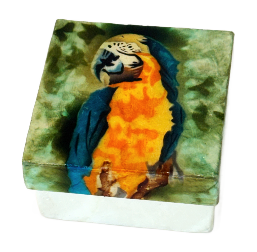 Parrot Capiz Shell Box