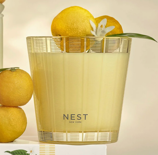 Sunlit Yuzu & Neroli 3-Wick Candle by Nest